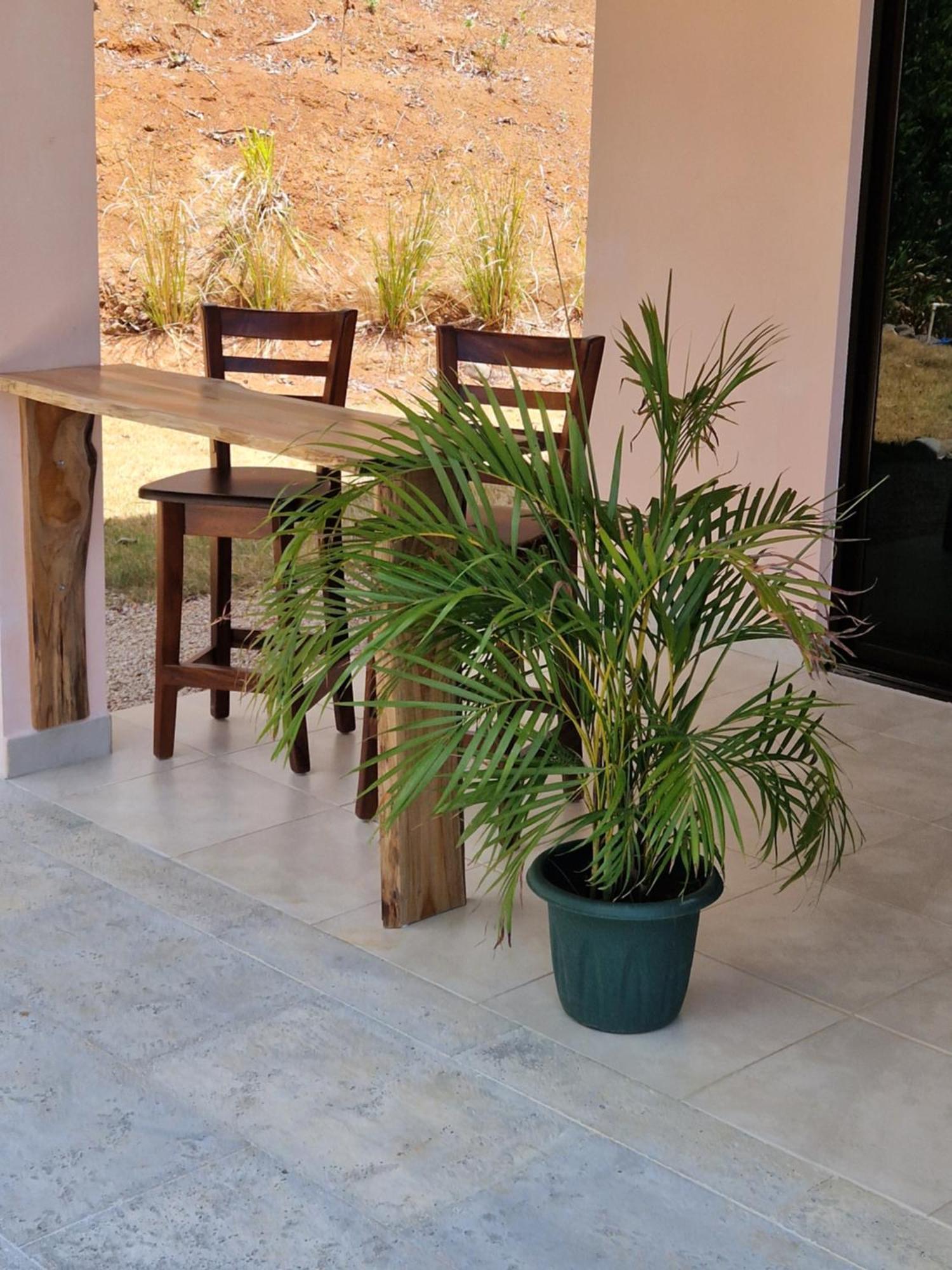 Vista Mar Y Monos Bed and Breakfast Sámara Εξωτερικό φωτογραφία
