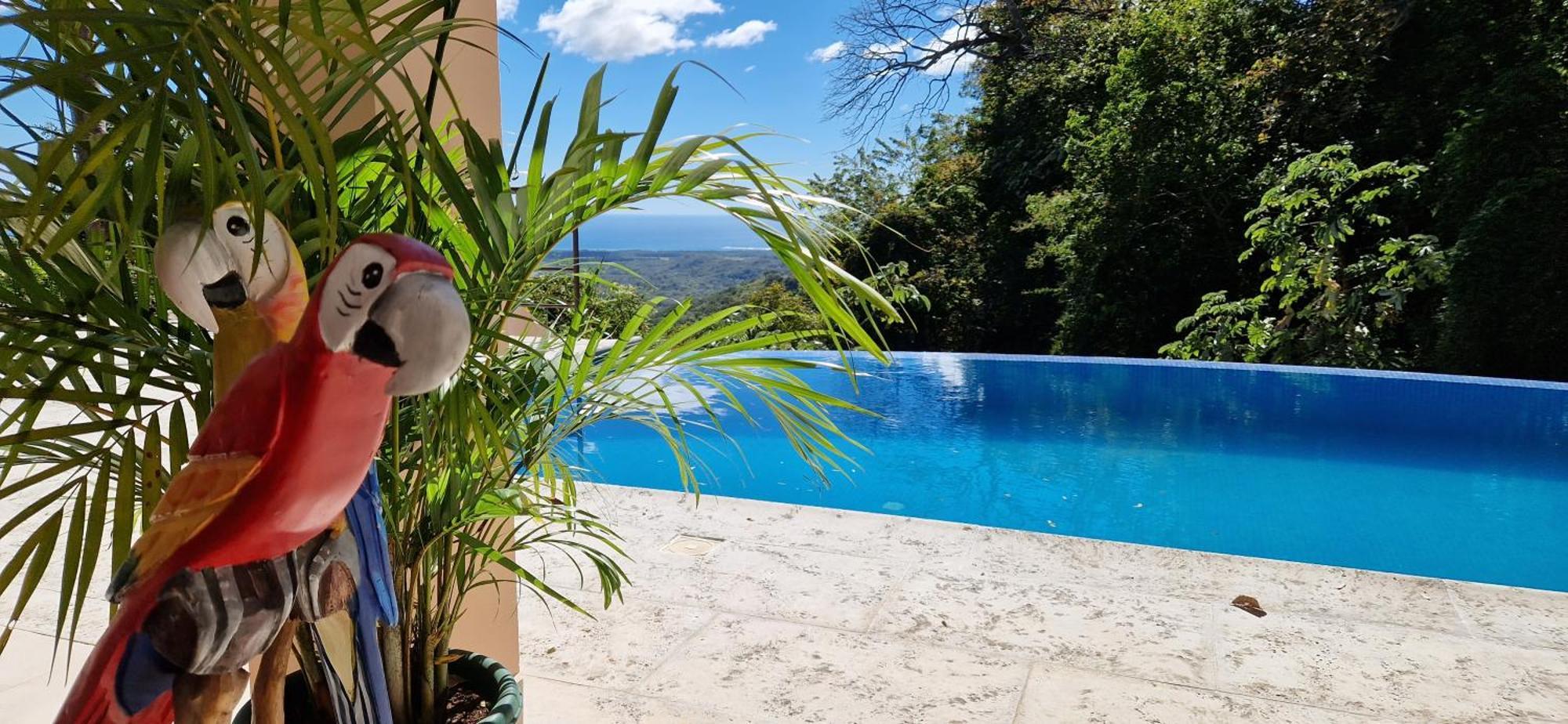 Vista Mar Y Monos Bed and Breakfast Sámara Εξωτερικό φωτογραφία